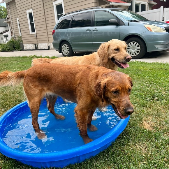 Meet your Posher, Jenna - Picture 8 of 10